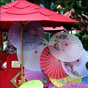 Chinese Umbrella Parasols